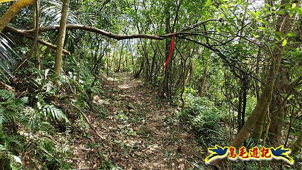 石梯坑古道苦命嶺和美山下北勢坑古道 (24).jpg