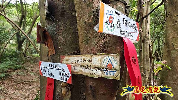石梯坑古道苦命嶺和美山下北勢坑古道 (30).jpg