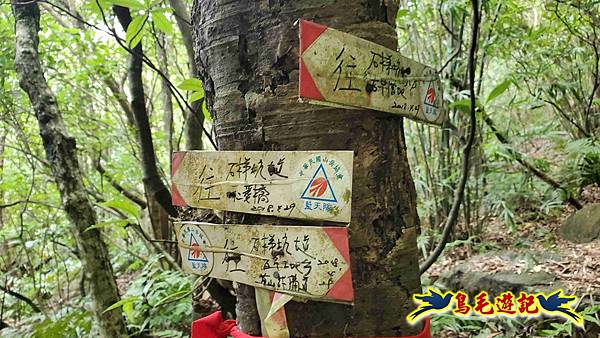 石梯坑古道苦命嶺和美山下北勢坑古道 (27).jpg