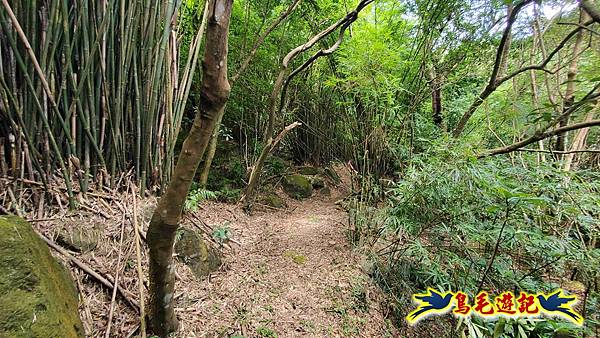 石梯坑古道苦命嶺和美山下北勢坑古道 (28).jpg