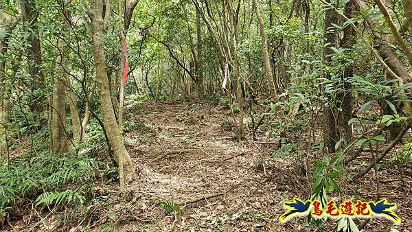 石梯坑古道苦命嶺和美山下北勢坑古道 (31).jpg