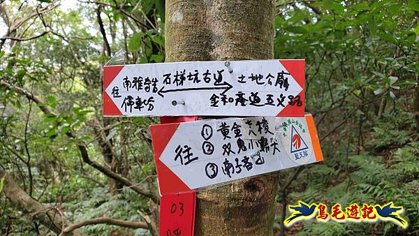 石梯坑古道苦命嶺和美山下北勢坑古道 (32).jpg