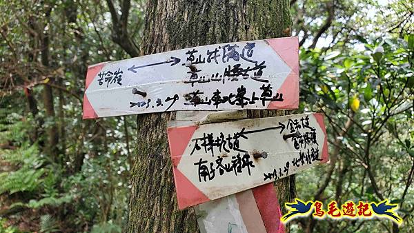 石梯坑古道苦命嶺和美山下北勢坑古道 (36).jpg