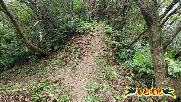 石梯坑古道苦命嶺和美山下北勢坑古道 (37).jpg