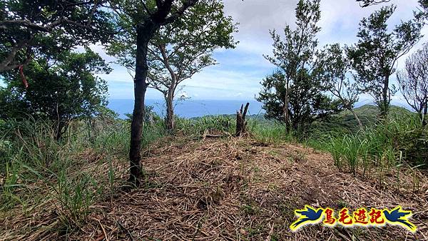石梯坑古道苦命嶺和美山下北勢坑古道 (38).jpg