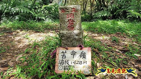 石梯坑古道苦命嶺和美山下北勢坑古道 (42).jpg