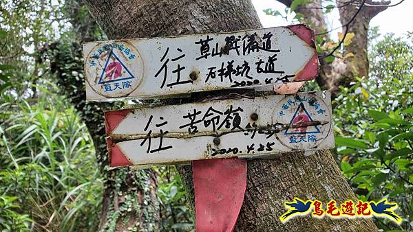 石梯坑古道苦命嶺和美山下北勢坑古道 (40).jpg