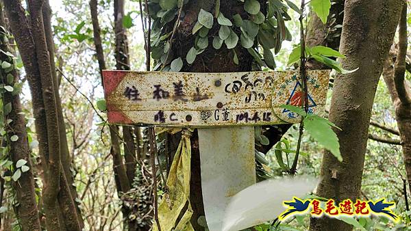 石梯坑古道苦命嶺和美山下北勢坑古道 (45).jpg