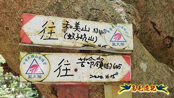 石梯坑古道苦命嶺和美山下北勢坑古道 (46).jpg