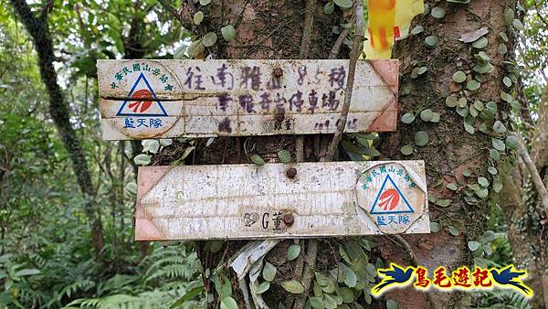 石梯坑古道苦命嶺和美山下北勢坑古道 (44).jpg