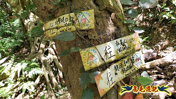 石梯坑古道苦命嶺和美山下北勢坑古道 (51).jpg