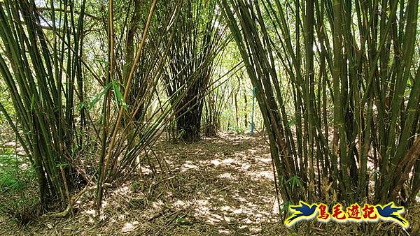 石梯坑古道苦命嶺和美山下北勢坑古道 (52).jpg