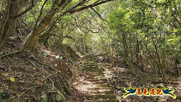 石梯坑古道苦命嶺和美山下北勢坑古道 (56).jpg