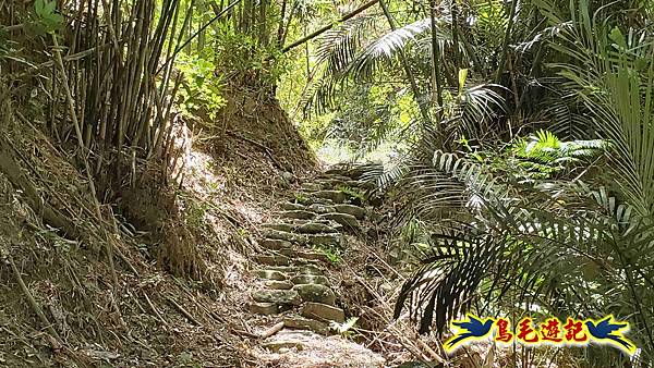 石梯坑古道苦命嶺和美山下北勢坑古道 (57).jpg
