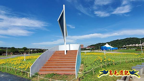 台北大佳河濱向日葵花海 (5).jpg