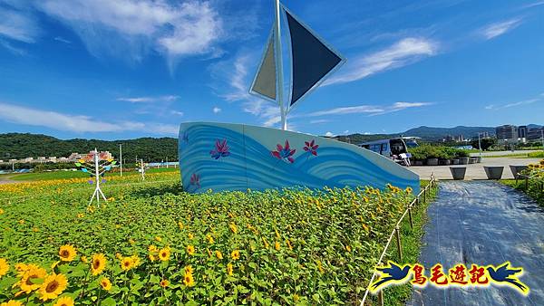 台北大佳河濱向日葵花海 (7).jpg