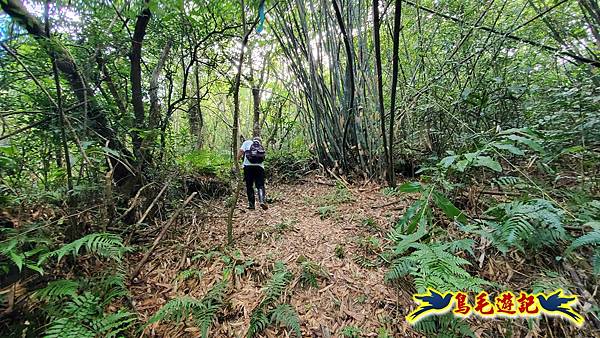 火燒寮石古井新路-青林山-盤山坑古道O形 (7).jpg