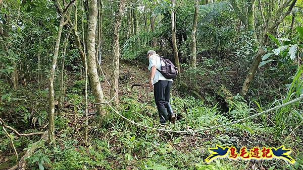 火燒寮石古井新路-青林山-盤山坑古道O形 (6).jpg