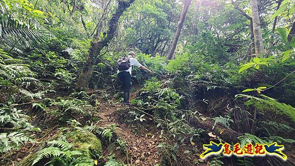 火燒寮石古井新路-青林山-盤山坑古道O形 (10).jpg