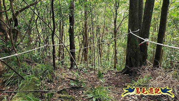 火燒寮石古井新路-青林山-盤山坑古道O形 (13).jpg