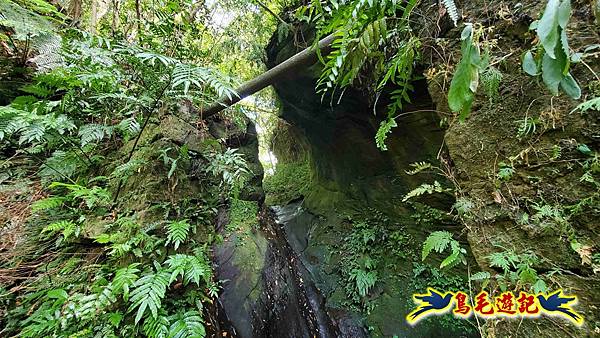 火燒寮石古井新路-青林山-盤山坑古道O形 (19).jpg