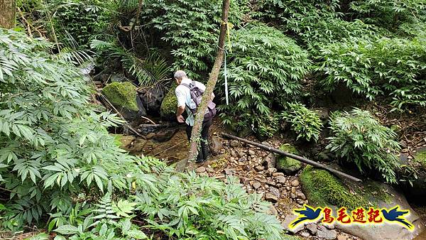 火燒寮石古井新路-青林山-盤山坑古道O形 (23).jpg