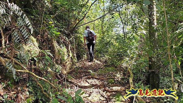 火燒寮石古井新路-青林山-盤山坑古道O形 (22).jpg