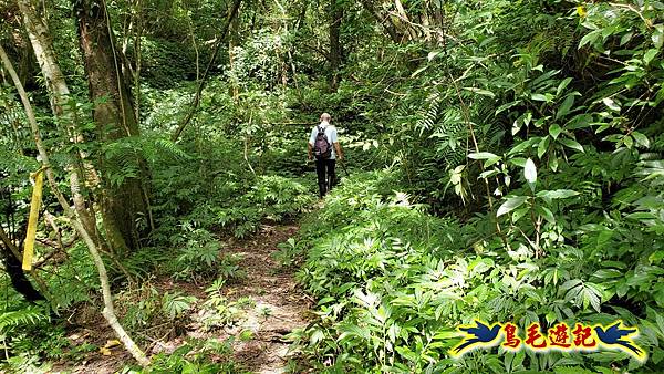 火燒寮石古井新路-青林山-盤山坑古道O形 (26).jpg