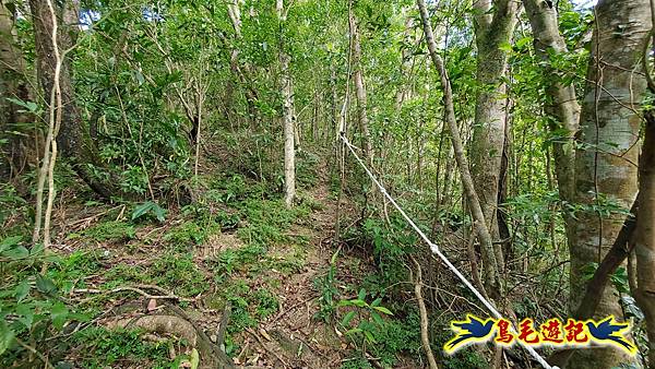 火燒寮石古井新路-青林山-盤山坑古道O形 (28).jpg