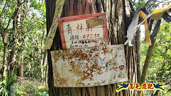 火燒寮石古井新路-青林山-盤山坑古道O形 (33).jpg