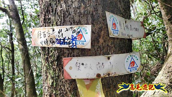 火燒寮石古井新路-青林山-盤山坑古道O形 (30).jpg