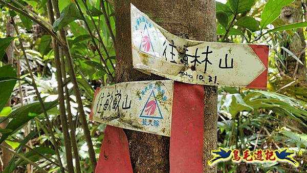 火燒寮石古井新路-青林山-盤山坑古道O形 (41).jpg