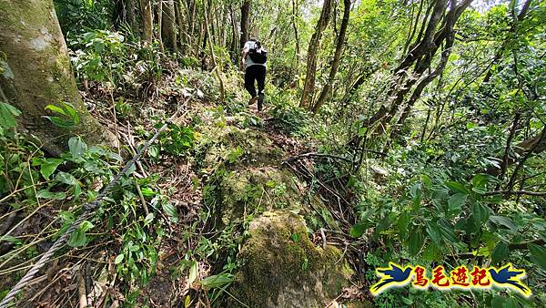 火燒寮石古井新路-青林山-盤山坑古道O形 (39).jpg