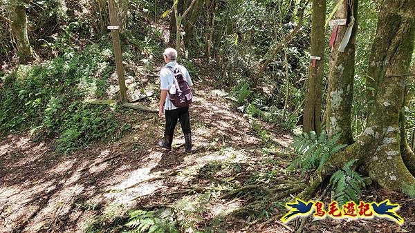 火燒寮石古井新路-青林山-盤山坑古道O形 (44).jpg