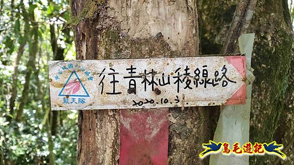 火燒寮石古井新路-青林山-盤山坑古道O形 (45).jpg