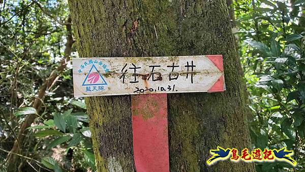 火燒寮石古井新路-青林山-盤山坑古道O形 (46).jpg