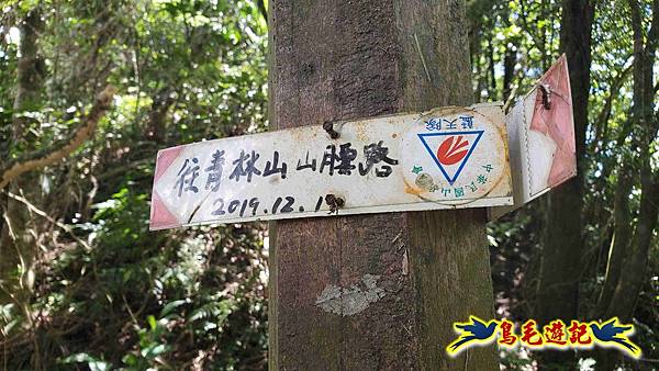 火燒寮石古井新路-青林山-盤山坑古道O形 (48).jpg