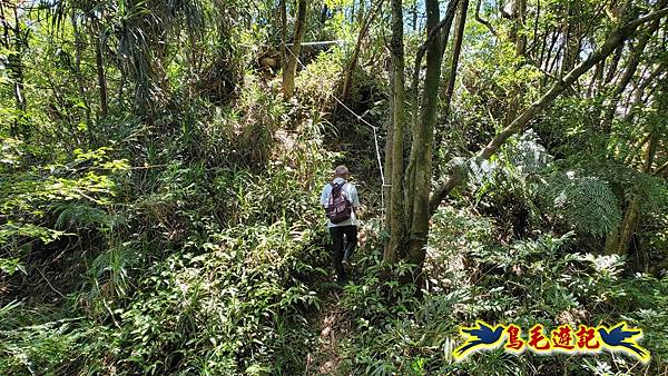 火燒寮石古井新路-青林山-盤山坑古道O形 (51).jpg
