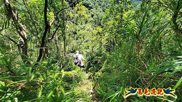 火燒寮石古井新路-青林山-盤山坑古道O形 (52).jpg