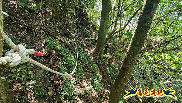 火燒寮石古井新路-青林山-盤山坑古道O形 (50).jpg