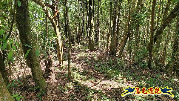 火燒寮石古井新路-青林山-盤山坑古道O形 (57).jpg