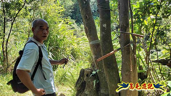 火燒寮石古井新路-青林山-盤山坑古道O形 (66).jpg