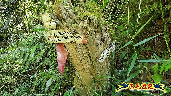 火燒寮石古井新路-青林山-盤山坑古道O形 (70).jpg