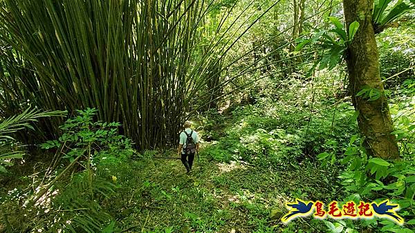 火燒寮石古井新路-青林山-盤山坑古道O形 (73).jpg
