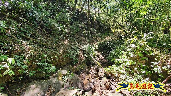 火燒寮石古井新路-青林山-盤山坑古道O形 (74).jpg