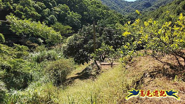 火燒寮石古井新路-青林山-盤山坑古道O形 (77).jpg