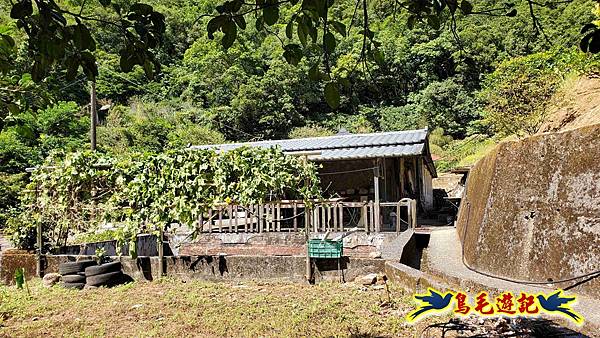 火燒寮石古井新路-青林山-盤山坑古道O形 (78).jpg