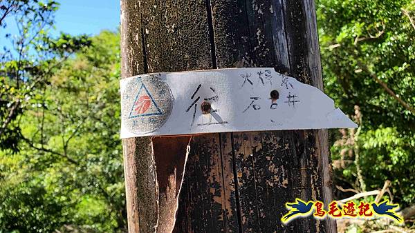 火燒寮石古井新路-青林山-盤山坑古道O形 (81).jpg
