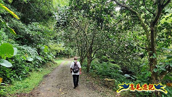 中坑橋-中坑古道西線-中坑西山-內盤山百年土地公廟-中坑古道-張家古厝P形 (9).jpg