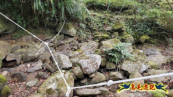 中坑橋-中坑古道西線-中坑西山-內盤山百年土地公廟-中坑古道-張家古厝P形 (22).jpg